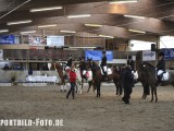 2012_03_31  Reitverein Schefflenz NOK-CUP