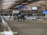 2012_03_31  Reitverein Schefflenz NOK-CUP