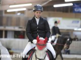 2012_03_31  Reitverein Schefflenz NOK-CUP