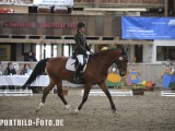 2012_03_31  Reitverein Schefflenz NOK-CUP