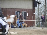 2012_03_31  Reitverein Schefflenz NOK-CUP