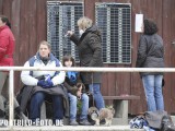 2012_03_31  Reitverein Schefflenz NOK-CUP