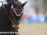 2012_03_31  Reitverein Schefflenz NOK-CUP