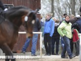 2012_03_31  Reitverein Schefflenz NOK-CUP