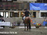2012_03_31  Reitverein Schefflenz NOK-CUP