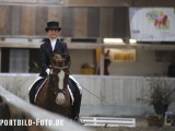2012_03_31  Reitverein Schefflenz NOK-CUP