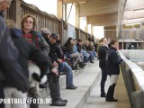 2012_03_31  Reitverein Schefflenz NOK-CUP