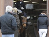 2012_03_31  Reitverein Schefflenz NOK-CUP